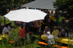 DSCN2681